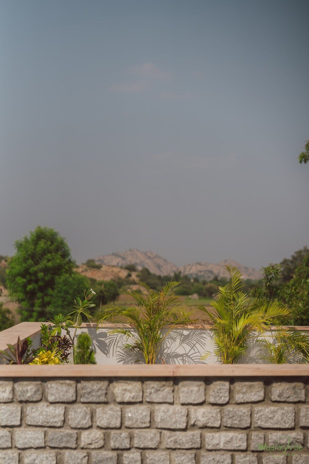 2 Bedrooms with Pvt Terrace at Jawai 5